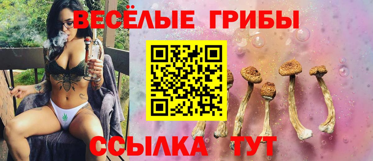 Соль-Илецк  Псилоцибиновые грибы мицелий  Вход с VPN 
